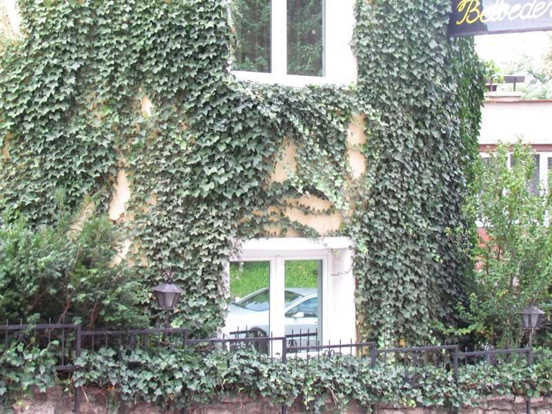 Hotel Belvedere SJJ Extérieur photo